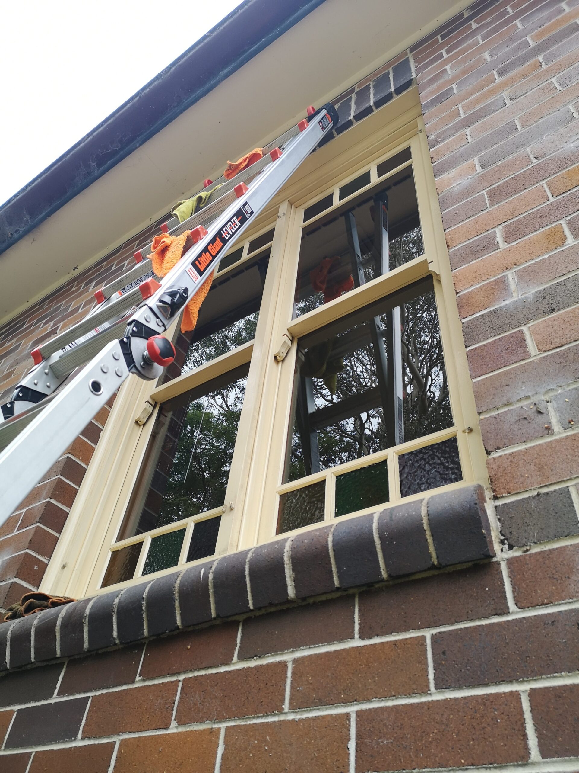 Strata window cleaning service by Wash My Windows